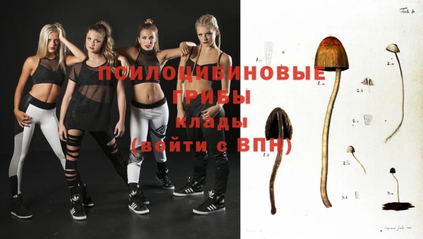 соль курить ск Алзамай