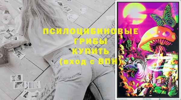 соль курить ск Алзамай
