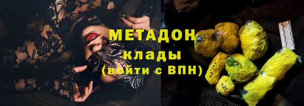 индика Алексин