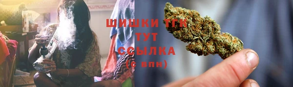 молекула духа Алексеевка