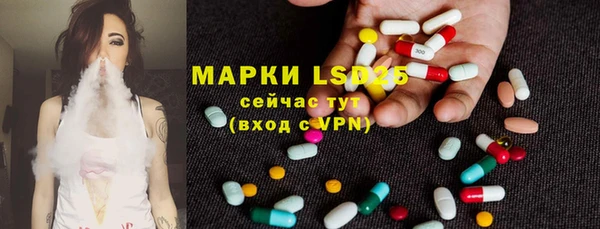 индика Алексин
