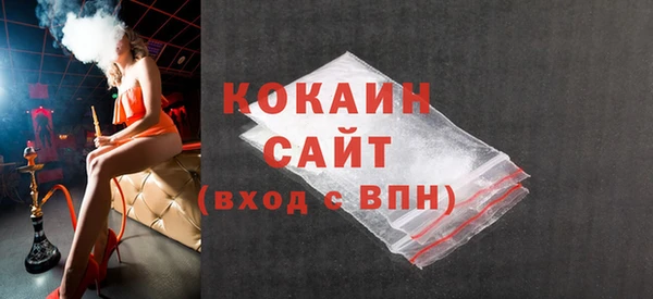 индика Алексин