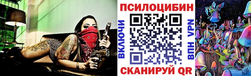 Псилоцибиновые грибы Psilocybe  Краснознаменск 