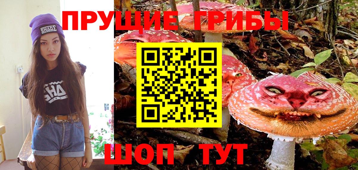 Псилоцибиновые грибы прущие грибы  Вход с VPN  Галлюциногенные грибы Psilocybine cubensis  Краснознаменск 