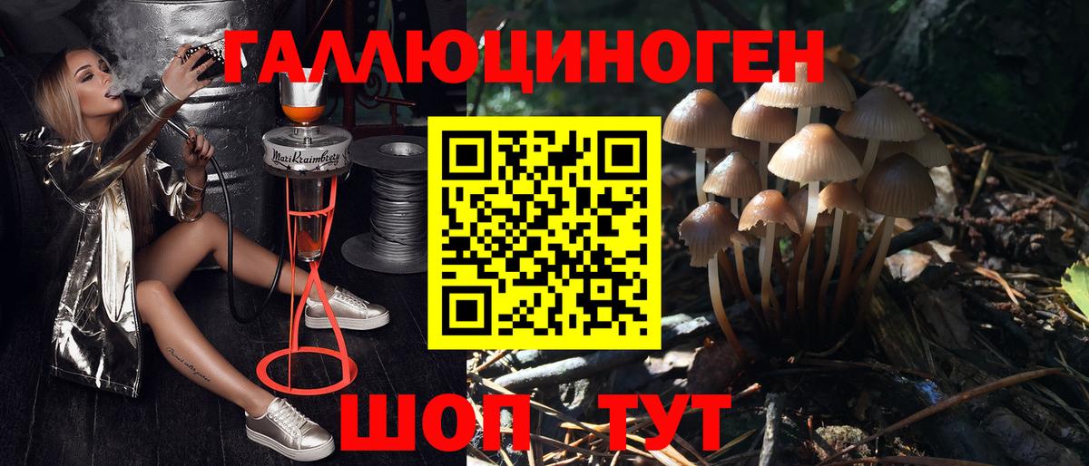 Галлюциногенные грибы мицелий Краснознаменск